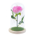 Factory Direct Sales Foreign Trade Popular Style Artificial Rose LED Light Creative Decoration Preserved Fresh Flower Valentine's Day Small Night Lamp