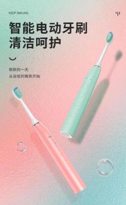 Toothbrush Electric Toothbrush