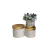 High-End Gold, Gilding round Three-Piece Set Flower Pot
