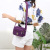 This Year's New Women's Small Flower Cloth Bag Messenger Bag Shoulder Mini Waterproof Nylon Canvas Bag Lightweight Business Bag