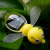 New Exotic Solar-Power Toy Insect Environmental Science Educational Children's Toys Gift Simulation Solar Bee