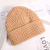 Internet Celebrity Fashion All-Matching Hand Crocheting Korean Style Solid Color Woolen Yarn Bag Cap Women's Autumn and Winter Warm Knitted Hat