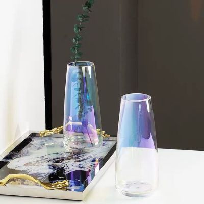Nordic Style Rainbow Magic Color Glass Vase Decoration Living Room Flower Arrangement Flower Dryer