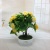 Mini Artificial Bonsai Flower Small Potted Factory Direct Sales Artificial Flower Plant