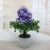 Mini Artificial Bonsai Flower Small Potted Factory Direct Sales Artificial Flower Plant