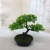 Mini Artificial Bonsai Flower Small Potted Factory Direct Sales Artificial Flower Plant