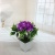 Mini Artificial Bonsai Flower Small Potted Factory Direct Sales Artificial Flower Plant