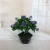 Mini Artificial Bonsai Flower Small Potted Factory Direct Sales Artificial Flower Plant