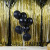 New Black Gold Rubber Balloons Birthday Gathering Party Decoration Supplies Black Gold Party Rain Silk Decoration