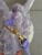 Duffy Bear New Friend Star Delu Plush Pendant Stella Rabbit Doll Doll Rabbit Crossbody Bag