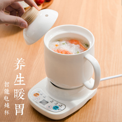 Gift Multifunctional Health Care Electric Stew Cooker Automatic Ceramic Health Pot Cook Congee Cup Mini Electric Heating Water Boiling Cup