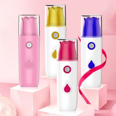 Cross-Border Hot Selling Nano Rose Water Replenishing Instrument Handheld USB Mini Water Replenishing Instrument Portable Pocket Beauty Instrument Spray