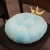 Crown Cushion Office Chair Seat Cushion Student Stool Seat Cushion Plush Car Female Hip Cushion