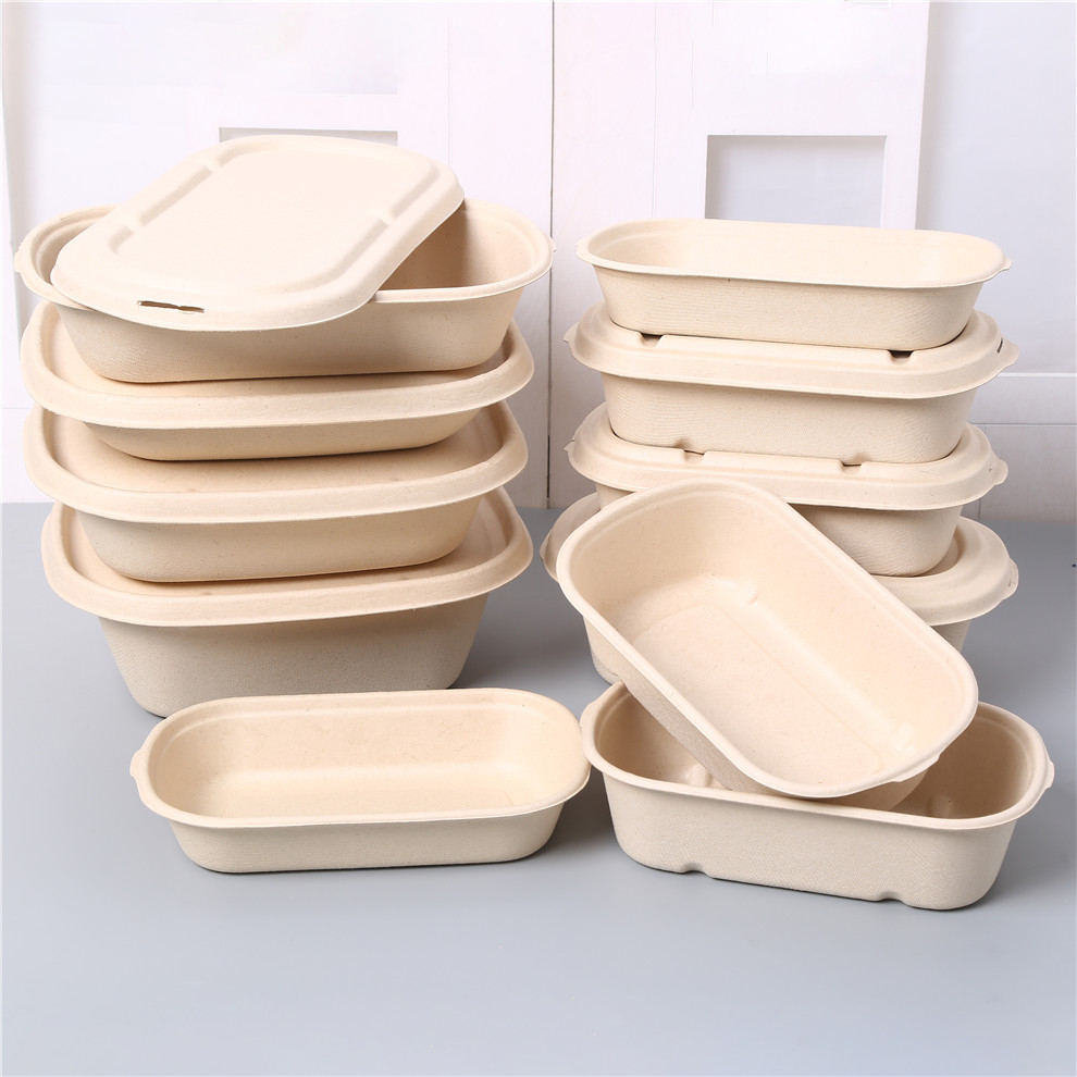 甘蔗浆一次性外卖纸浆打包盒可降解饭盒环保沙拉轻食快餐便当餐盒