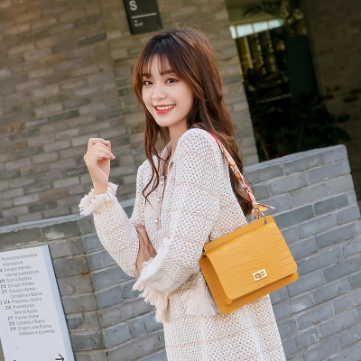 Double-Sided Women's Bag 2020 Winter Korean Style Crocodile Pattern Lock Chain Square Bag Shoulder Crossbody Jelly Silk Scarf Mobile Phone Bag