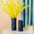 Morandi Vase Decoration Living Room Flower Arrangement Dried Flower Dining Table TV Cabinet Ceramic Nordic Style Modern Minimalist