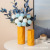Morandi Vase Decoration Living Room Flower Arrangement Dried Flower Dining Table TV Cabinet Ceramic Nordic Style Modern Minimalist