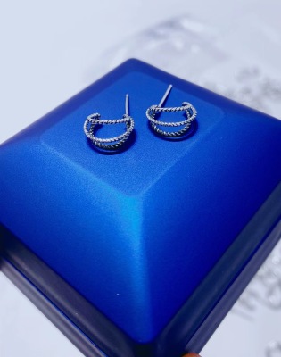 925 Silver Personalized Stud Earrings Korean Simple Graceful Popular Frosty Style Stud Earrings Earrings for Women