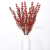 6 Fork North American Holly Chinese Hawthorn Fortune Fruit Lantern Festival Bouquet  Fork Holly Red Bean Jequirity Bean