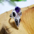 Rong Yu Cool Amethyst Skeleton Skull Plated 925 Male and Female Ring Bird Skull Punk Jewelry