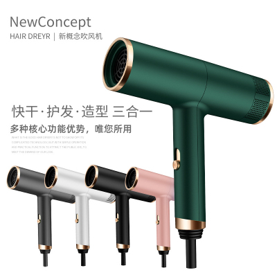 Hair Dryer Internet Celebrity High Power Constant Temperature Household Electric Blower Hotel Hammer Blowing