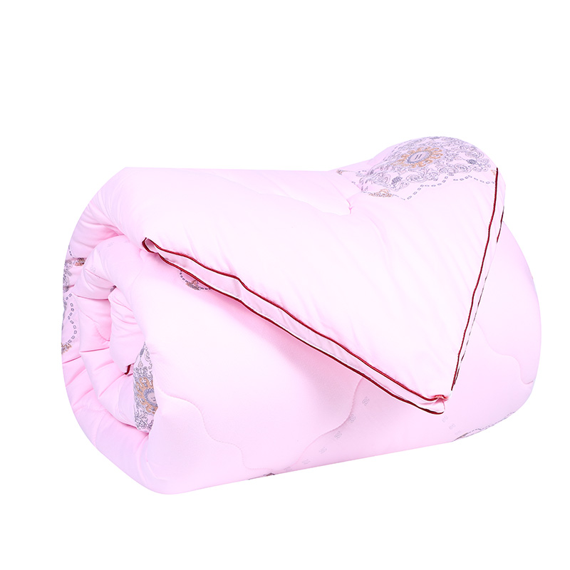 加厚被子10斤海岛棉被芯 盖被厂家直供新款冬被床上用品