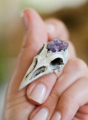 Rong Yu Cool Amethyst Skeleton Skull Plated 925 Male and Female Ring Bird Skull Punk Jewelry