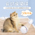 Upgrade Type USB Electric Cat Led Rolling Flash Ball Laser Intelligent Cat Teaser Toy Automatic Rolling Ball