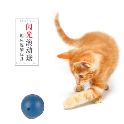 Pet Electric Rolling Cat Toy Ball Cat Funny Rolling Ball Cat Teaser Toy Dogs Supplies Wholesale