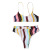 2021 Foreign Trade New Swimwear Women's Striped Sexy Bikini Adjustable Split Swimwear Swimsuit Women