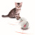 Electric Laser Cat Teaser Toy Led Rolling Cat Toy Luminous Ball Cat Funny Toy TikTok
