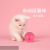 Pet Electric Rolling Cat Toy Ball Cat Funny Rolling Ball Cat Teaser Toy Dogs Supplies Wholesale