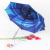 Spray Fanbrella Rechargeable Summer Care Artifact Internet Celebrity Hot Sale Umbrella Vinyl Sun Protective Sunshade Umbrella