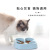 Amazon Cross-Border New Arrival Pet Cat Slow Feeding Bowl Non-Slip Food Basin Dog Food Bowl Drinking Water Food Basin