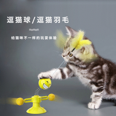 Amazon New Pet Supplies Spring Doll Turn Windmill Cat Toy Turntable Cat Teaser Pet Toys