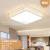 Living Room Bedroom Modern Minimalist and Magnificent Household European LED Ceiling Lamp