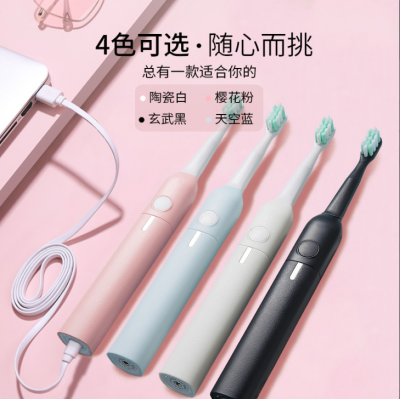 Electric Toothbrush-D1812