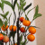 Artificial Flower Single Orange Branch Wedding Home Furnishing Ornamental Flower Plastic Flower & Branch Idyllic and Retro Artificial Silk Flower Manufacturer