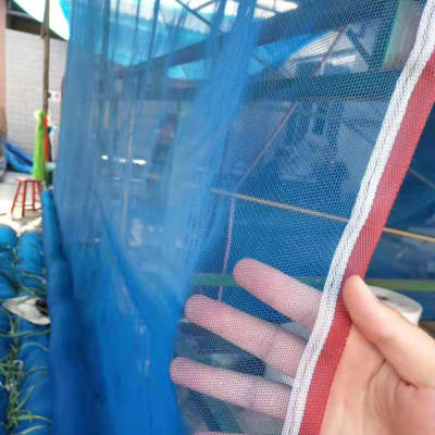 Factory Direct Sales Plastic Window Screen Nylon Window Screening Blue and Green Window Screen REEDRLON