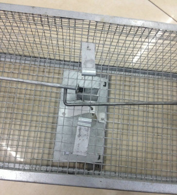 Hot Sale Mouse Trap Rat Trap Household Trapper Mouse Trap Household Iron Rat Trap Cage Factory Direct Sales