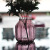 [6202] Octagonal Vase Ziyi Same Style European Mediterranean Transparent Glass Vase Ornaments Vase
