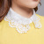 Four Seasons All-Matching Fake Collar Women's Fashionable Lace Embroidered Lace Decorative Shirt Collar Women's Chiffon Fake Collar
