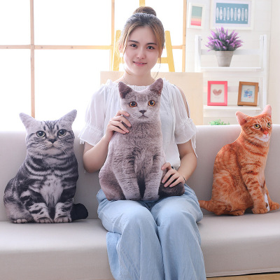Graphic Customization Foreign Trade Export Creative Cat Printing Animal Bolster Cat Home Plush Toy Comfort Doll