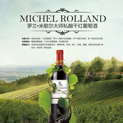 French Bordeaux Imported Roland Michel Master Private Brewed Dry Red Wine 750ml Red Wine