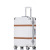 Retro Scratch-Resistant Suitcase Boarding Bag Trolley Star Same Aluminum Frame Trolley Luggage 20-Inch 1608/1618