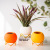 Creative Ceramic Vase Morandi Modern Simple Succulent Flower Pot Flower Arrangement Containers for Plants and Flower Iron Rack Hydroponic Ball Bottle