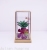 Glass Flower House, Simulated Pergola, Iron Lantern Vase, Glass Jewelry Box, Glass Vase