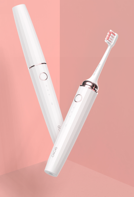 110 Electric Toothbrush