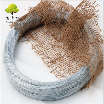 Manufacturer Direct Sale Galvanized Iron Wire 21# 0.8mm 2kg Roll Package Export to Middle East African Market