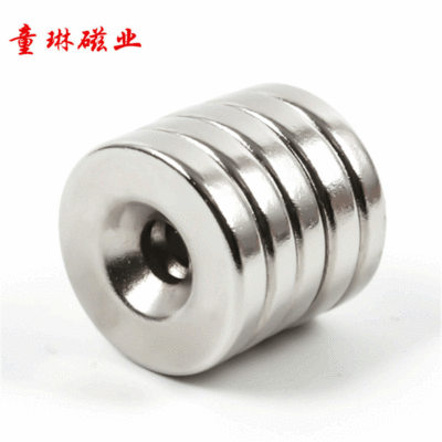 Strong Magnetic Ring D12 * 3 with Hole M5 Countersunk Head Strong Magnet round with Hole Magnet Rare Earth NdFeB Strong Magnet